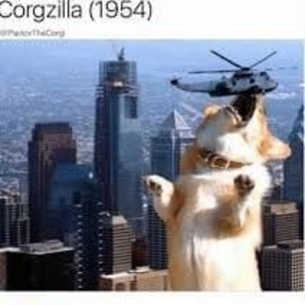 Meet your Posher, Hope